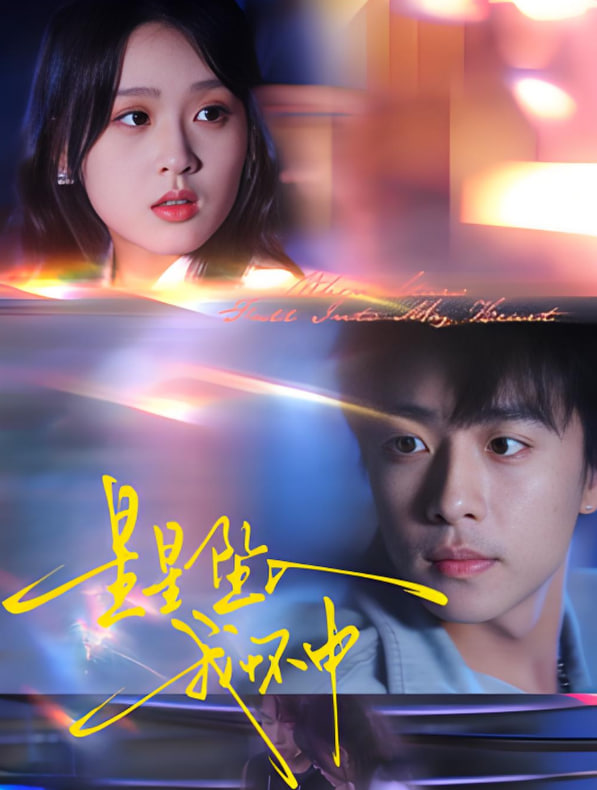 星星坠入我怀中