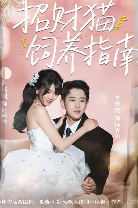 招财猫饲养指南