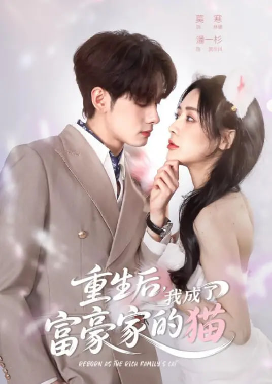 重生后，我成了富豪家的猫